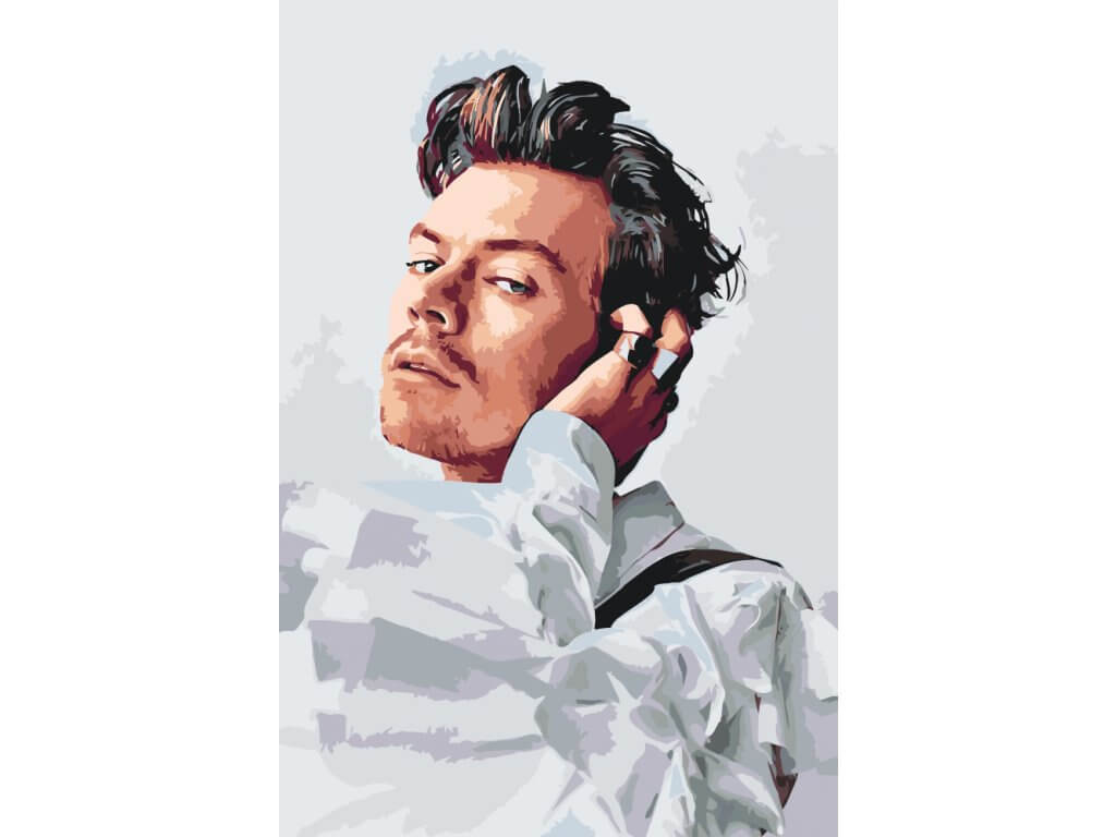 HARRY STYLES