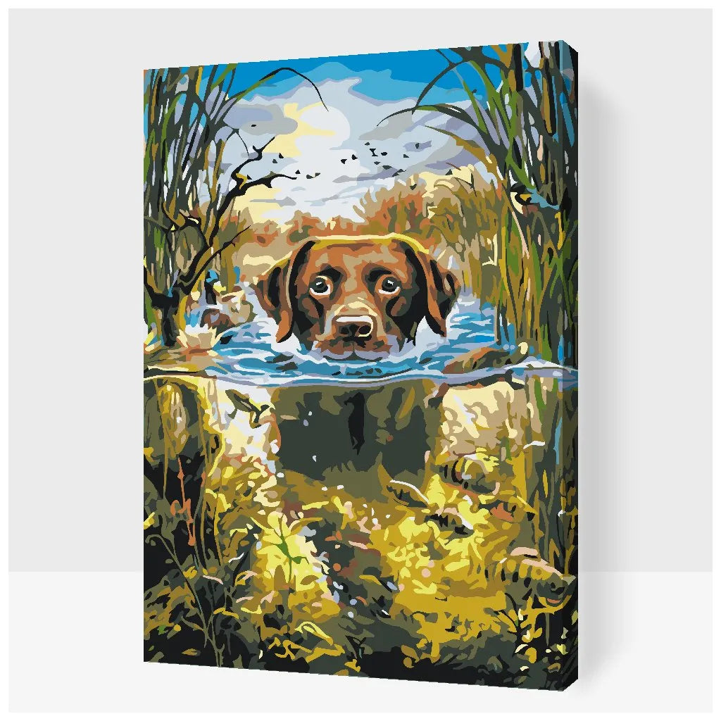 SIMNING LABRADOR