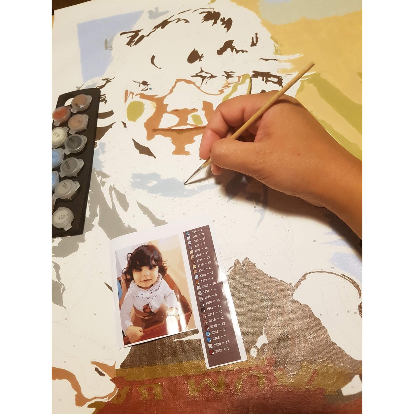 PAINT BY NUMBERS EGET FOTO med snabb och gratis leverans - Många storlekar - foto tavla