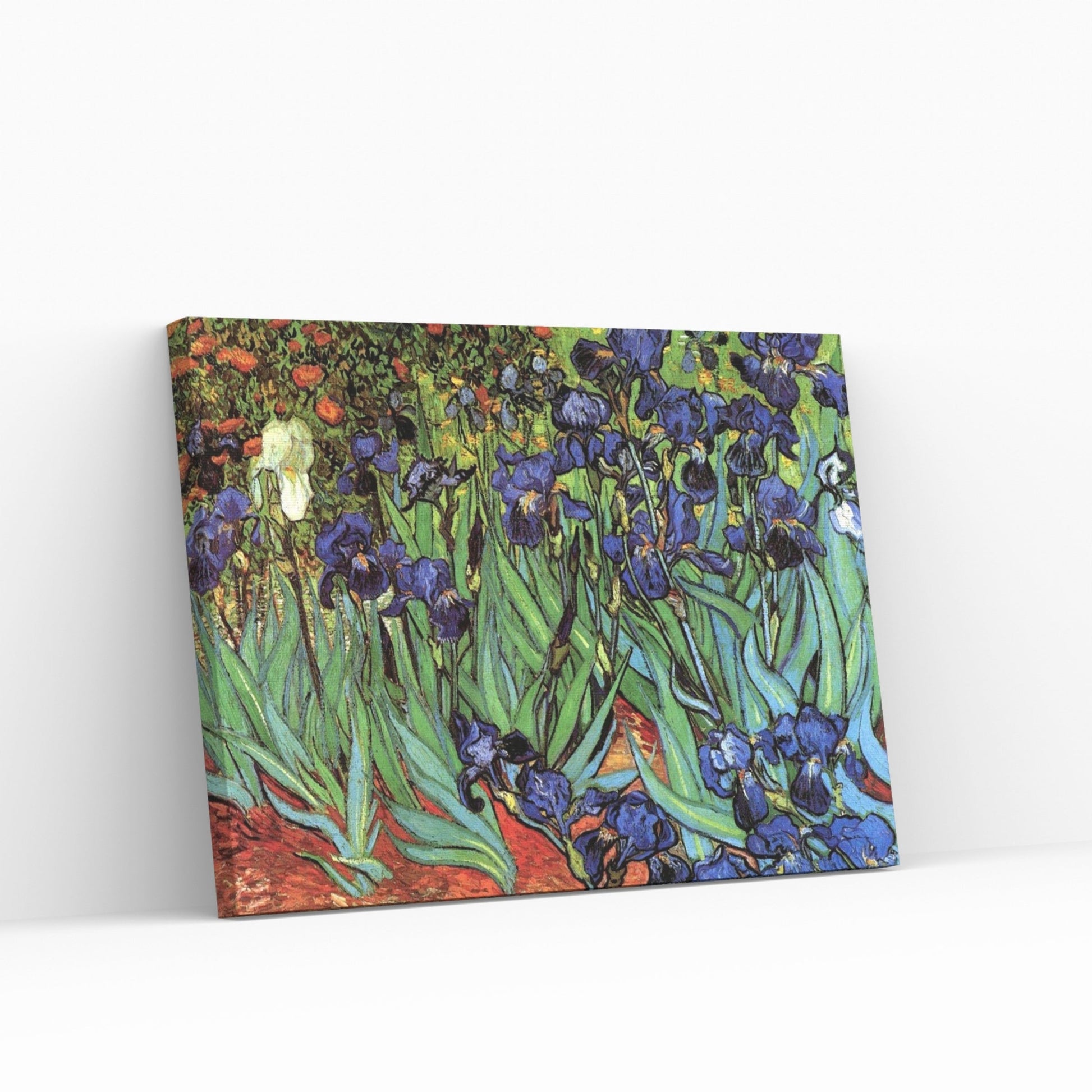 IRISER -Vincent van Gogh - med dubbelfärg och fri frakt - paint by number